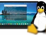 Linux less命令：高效浏览文本神器！