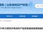 2024年三相异步电动机抽查结果，这些你绝对不能忽视的关键点！