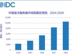 中国液冷服务器市场的崛起：2024年你不能忽视的机会